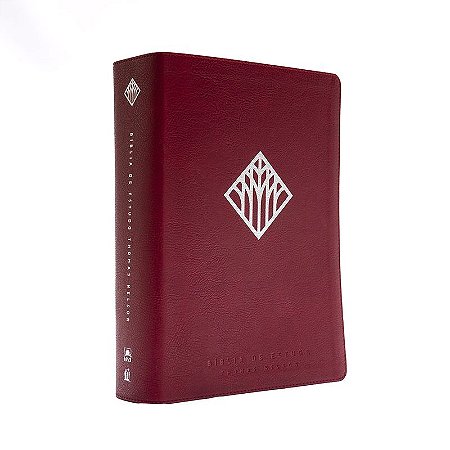 Bíblia de Estudo Thomas Nelson NVI, Letra tradicional, Fonte Leitura Perfeita, com mapas e mais de 50 mil recursos, Capa luxo Vinho