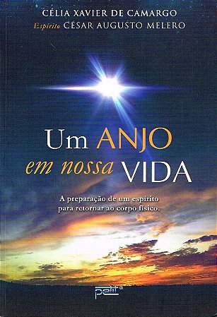 Um anjo em nossa vida