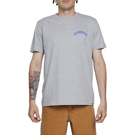 Camiseta DC Shoes Orientation WT24 Masculina Cinza Mescla