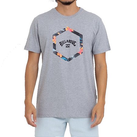 Camiseta Billabong Access III Masculina Cinza Claro - Radical Place - Loja  Virtual de Produtos Esportivos