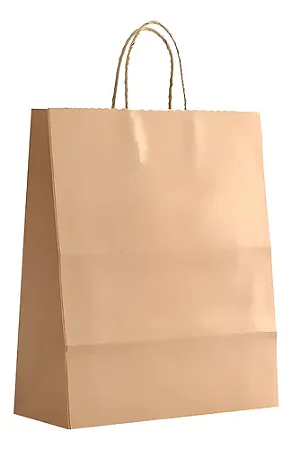 Sacola Kraft Nº 6 GG