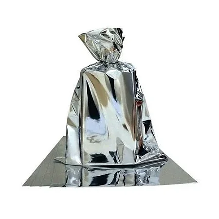 Saco De Presente Prata 30x44 C/10 Unidades