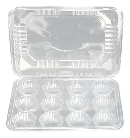 Embalagem NP-12 Retangular C/12 cavidades