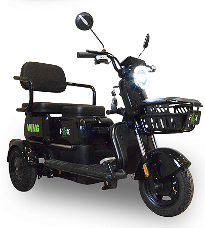 Triciclo Elétrico  Modelo WD-10