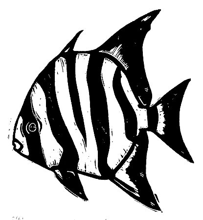 Xilogravura Peixe Enxada A4 Arte em Papel