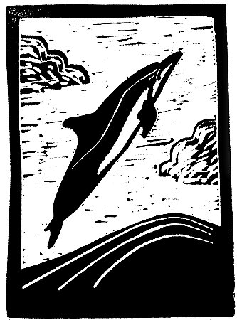 Golfinho Rotador Linogravura A4