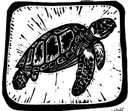 Tartaruga de Pente Linogravura A4