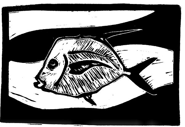 Linogravura Peixe Galo A4 por Uilo Andrade