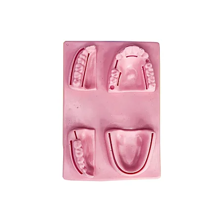 SIMULADOR DE PELE 3D DENTAL/ORAL TREINAMENTO DE SUTURA - ORTHO PAUHER