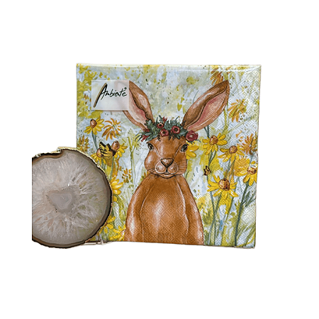 Kit 20 Guardanapos Papel Duplo Estampa Páscoa Coelho 33cm