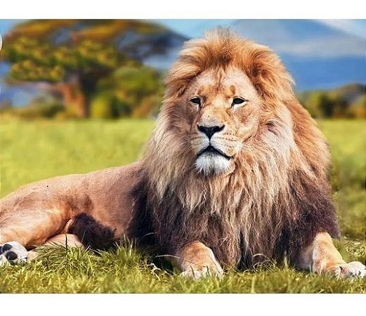 QUEBRA CABECA 3D - LEAO 500PCS (05)