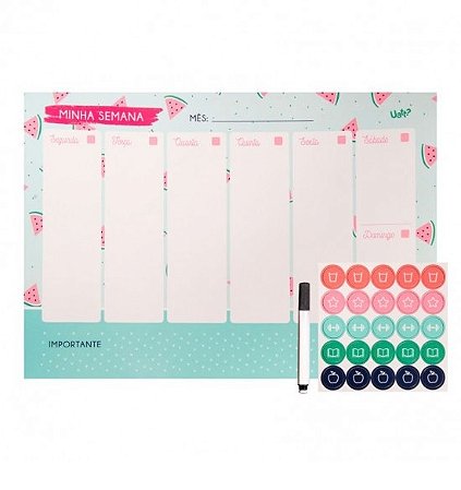 ORGANIZADOR MAGNETICO - DESFRUTE