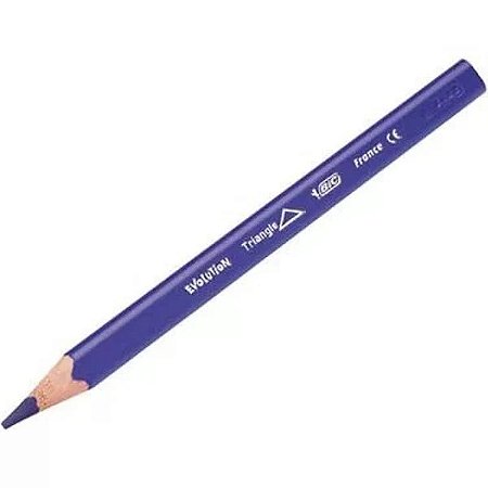 LAPIS 12 CORES BIC TRIANG. EVOLUTION JUMBO(E)
