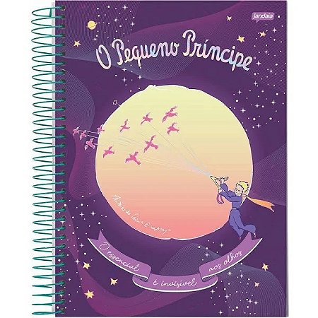 CADERNO ESPIRAL 1/4 CD 96FLS O PEQUENO PRINCIPE FSC