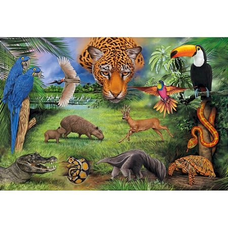 P150 FAUNA BRASILEIRA