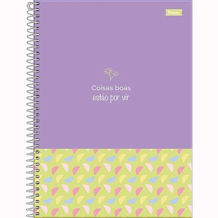 CAD.UNIV.CD.160F.10M.  DIZ AI FSC