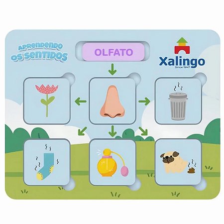 STEAM QUEBRA-CABECA APRENDENDO OS SENTIDOS