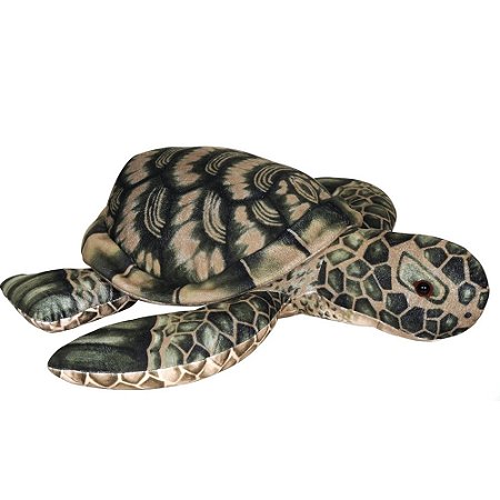 TARTARUGA AQUATICA 50CM. COMP. VALOR ST : R$0