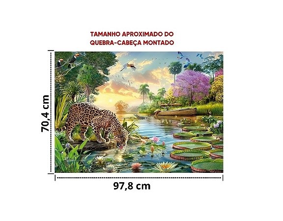 QC 2000 PCS - PANTANAL