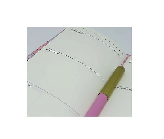 PLAN C/ CANETA 177X217 40F  ROSA ROSE PIS 3.37 COFINS 15.51