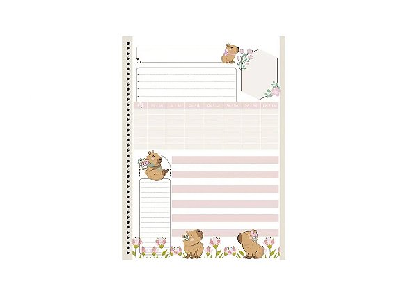 CAD UNIV 10M CD B/A 160F CAPYCUTIES PIS 1.97 COFINS 9.08 FSC