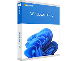 Microsoft Windows 11 Pro ESD PN FQC-10572