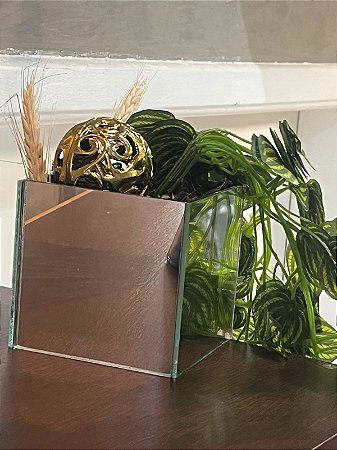 Vaso de espelho