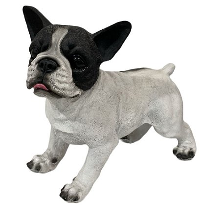 Cachorro Bulldog Francês Em Resina