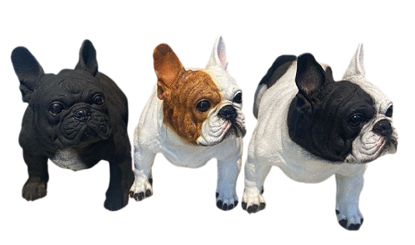 Estatua Resina Bulldo Françês Grande