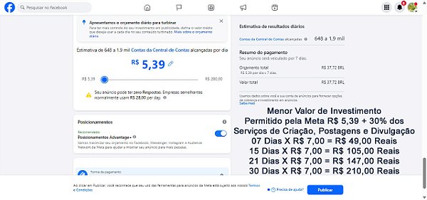 Seg. Trafego Pago PETV. 5.39