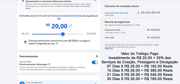 Seg. Trafego Pago PETV 20