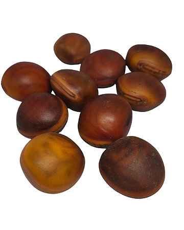 Fava Olho de Boi (ou mucunã) - Unidade