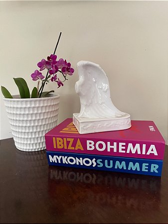 Livro Decorativo Mikonos