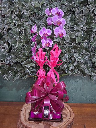 Orquídea Roxa