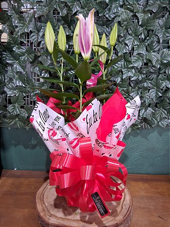 Lírios Rosa e Brancos