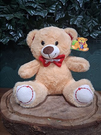 Urso de Pelúcia Edu 22cm