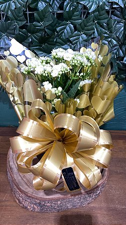 🌼 Kalanchoe Calandiva Branco no Cachepô Decorado