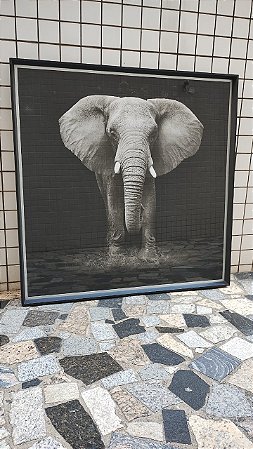 Quadro Decorativo Elefante em Preto e Branco