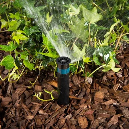 Bocal Faixa Hunter 10 unidades