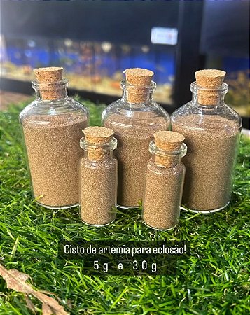 Cisto de artêmia para eclosão 30g