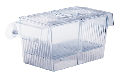 Criadeira flutuante SKRw CR13