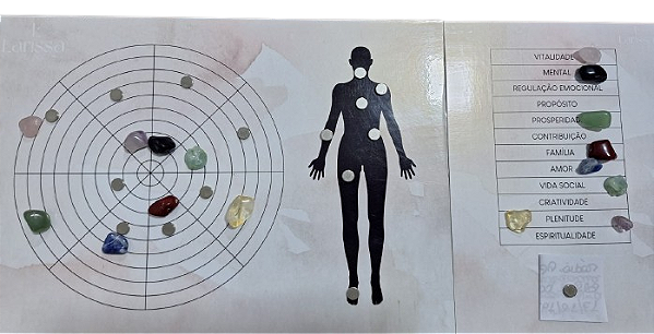 Roda da Vida Magnética online - terapeuta Cassia Lorena