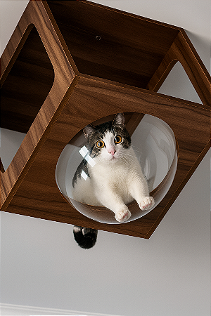 Nicho de Teto com Cúpula de Acrílico