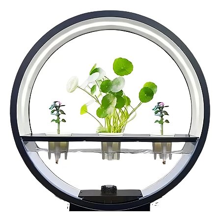 Luminária De Mesa Com Suporte P/ Plantas LED Tomate MDL-004