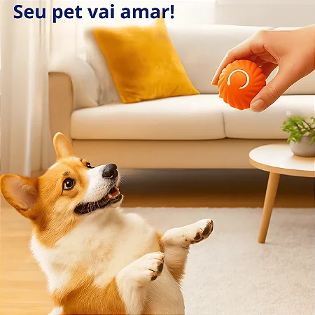 Bola Inteligente - Interativa para Pets