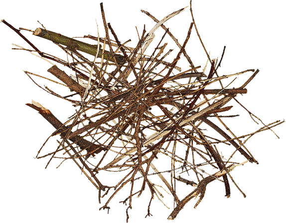 Galhos 2000 unidades