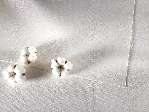 Folha de Papel para aquarela Arches 300g Textura Acetinada 56 X 76 cm
