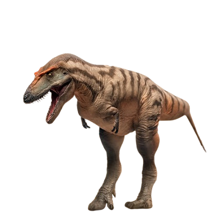 Figure Gorgosaurus Tristan the Gorgosaurus 071 - Original PNSO