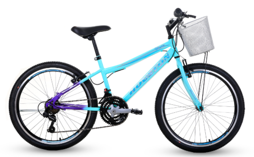 BICICLETA WINDY ARO-24