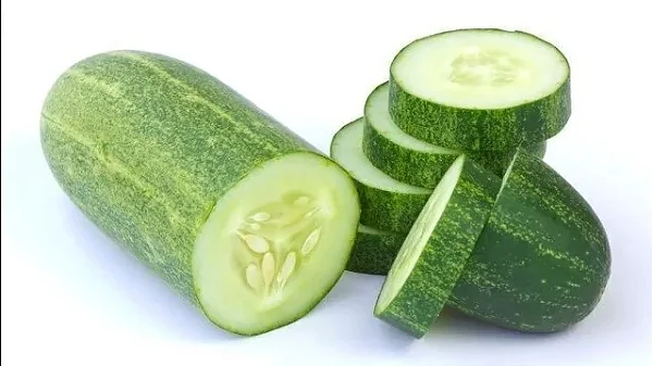 PEPINO COMUM kg